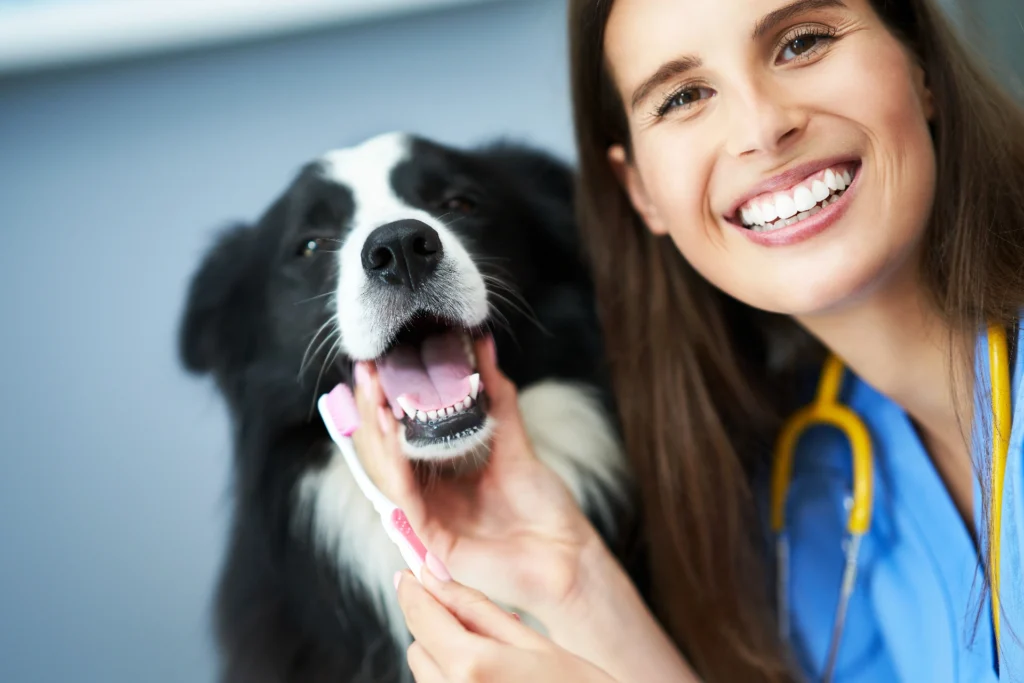 Site Modelo Veterinarios Unidos OMeuSite PT87.webp